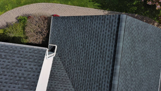 Roof Moss and Algae Removal in Thiensville, WI